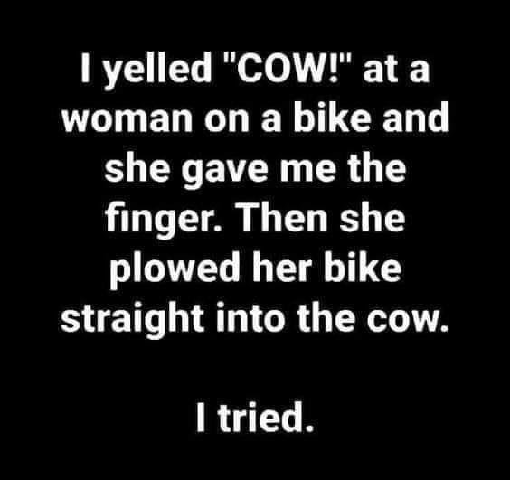 Cow Bike.jpg