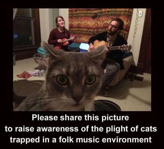 Cat Folk Music.jpg
