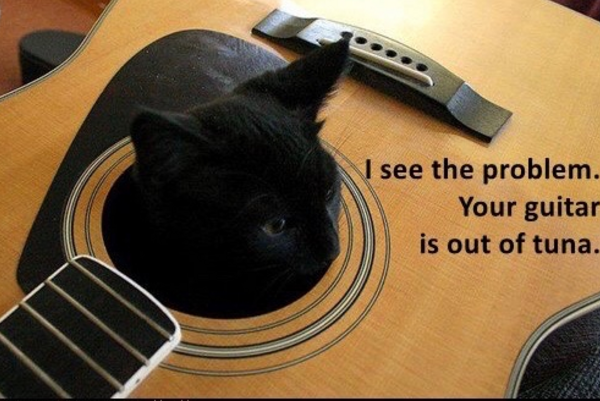 cat guitar.png