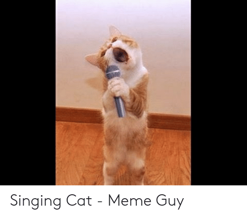 singing-cat-meme-guy-50934573.png