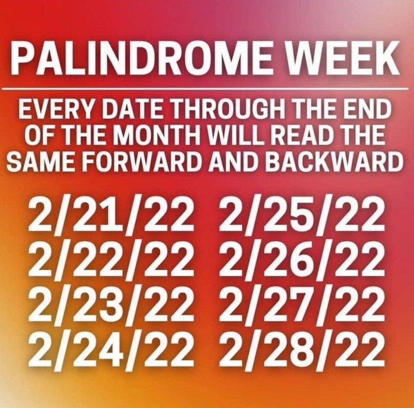 palindrome week.jpg