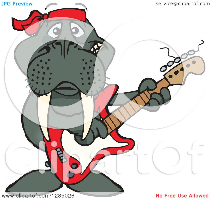 Clipart-Of-A-Cartoon-Happy-Walrus-Playing-An-Electric-Guitar-Royalty-Free-Vector-Illustration-...jpg