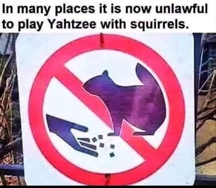 Yahtzee Squirrels.jpg