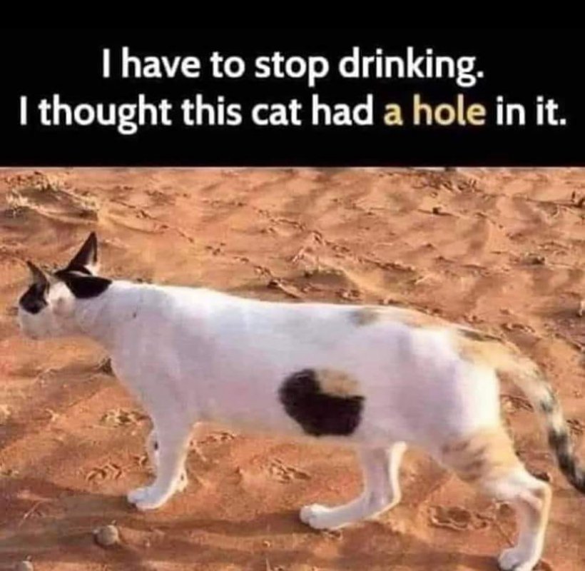 Cat Hole.jpg