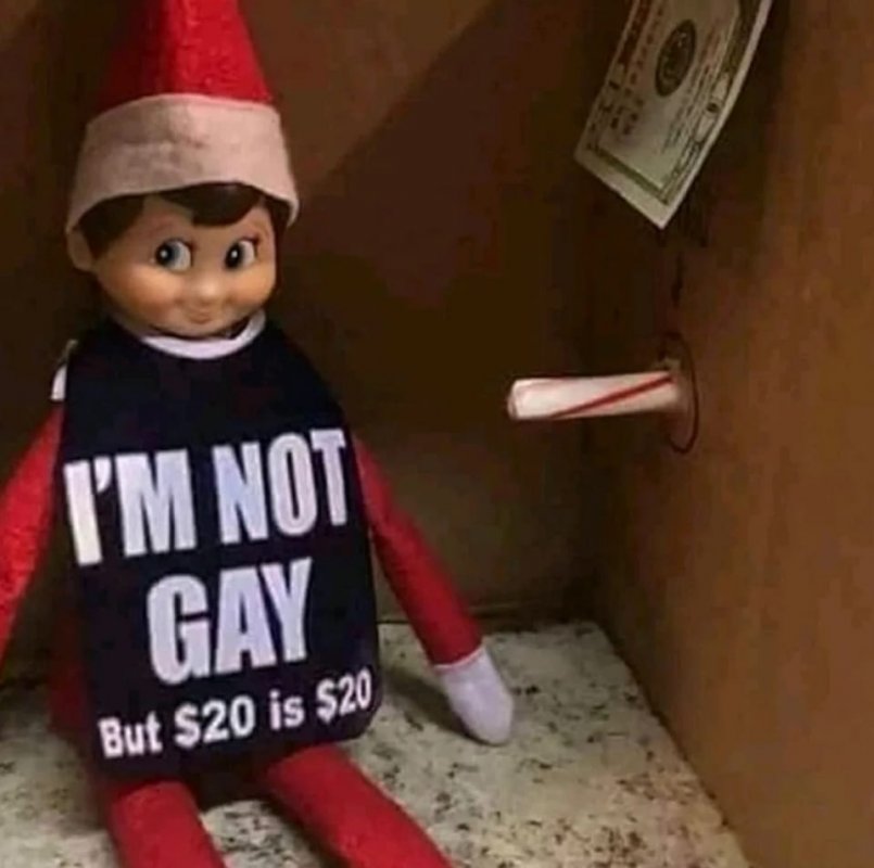 Elf Not Gay.jpg