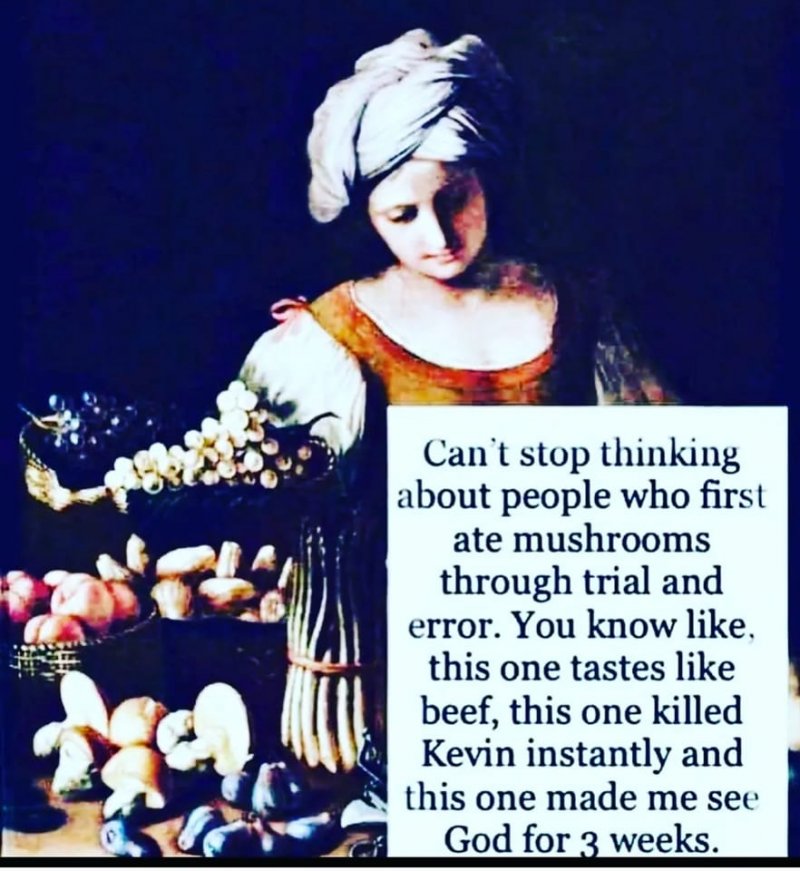 Mushrooms.jpg