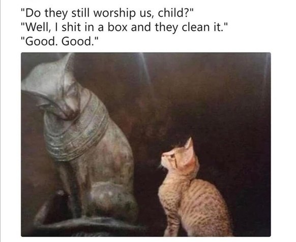 Cat Worship.jpg
