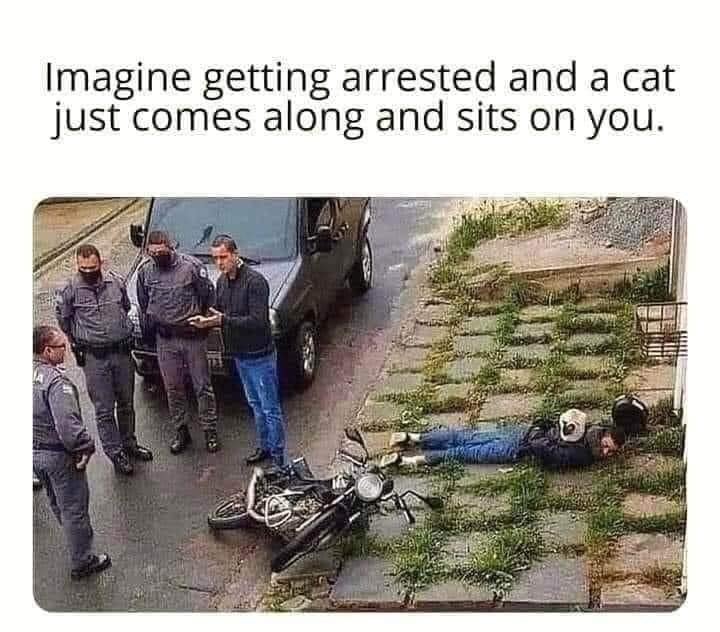 arrest.jpg