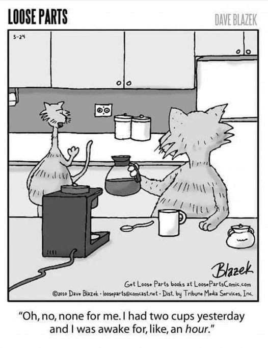 Cat Coffee.jpg