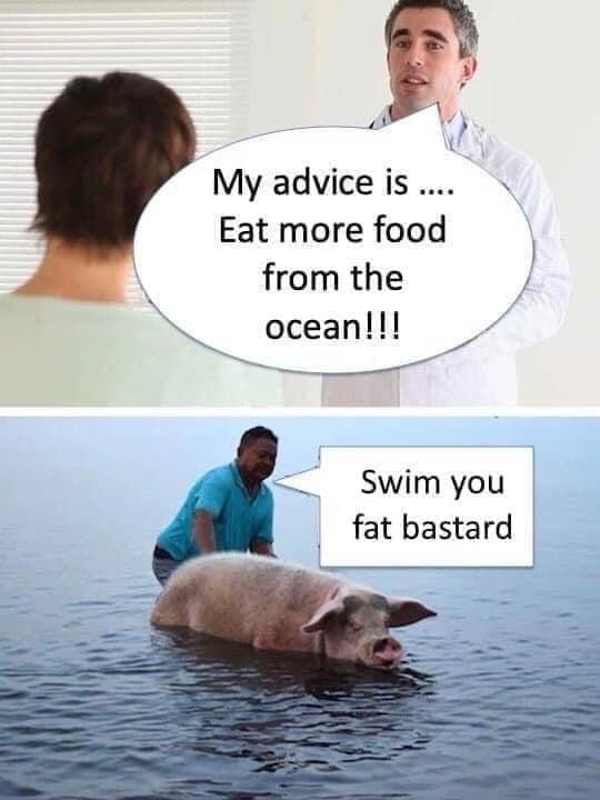 Swim You Fat Bastard.jpeg