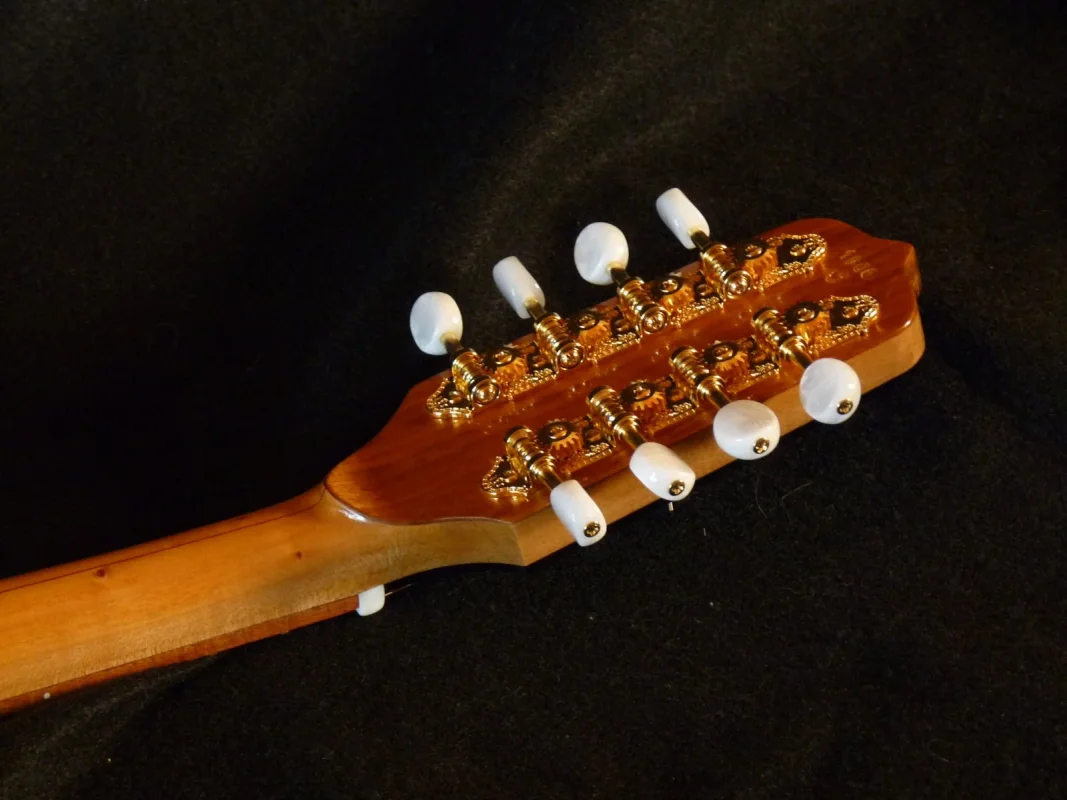 D80D63CD-7998-4F4D-B813-A99D93F029EB.jpeg D80D63CD-7998-4F4D-B813-A99D93F029EB.jpeg