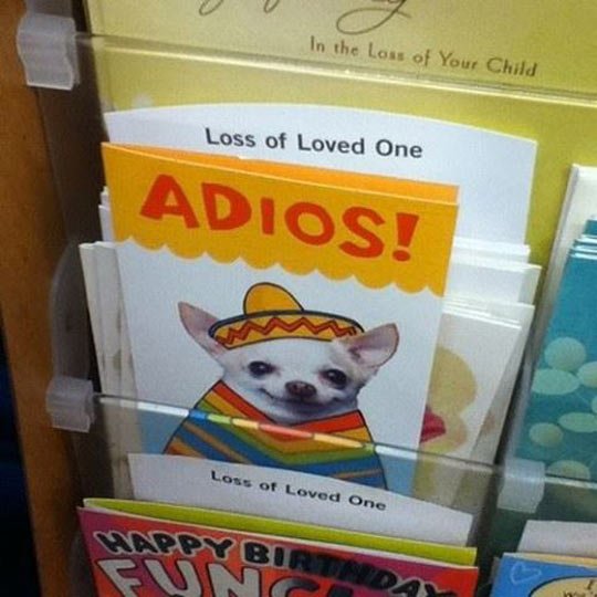 funny-loss-cards-Chihuahua-Adios.jpg