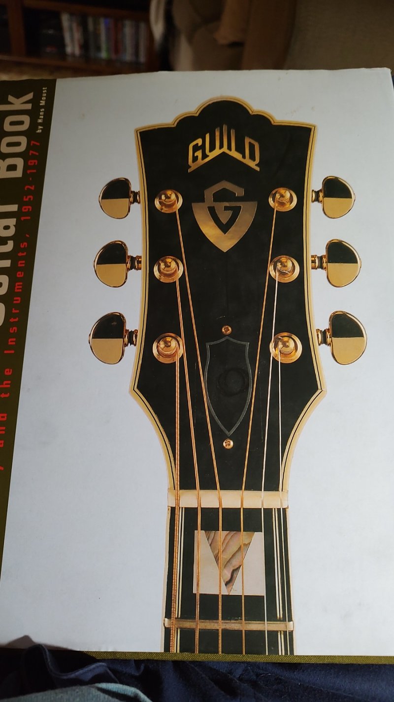 Guitar on cover.jpg