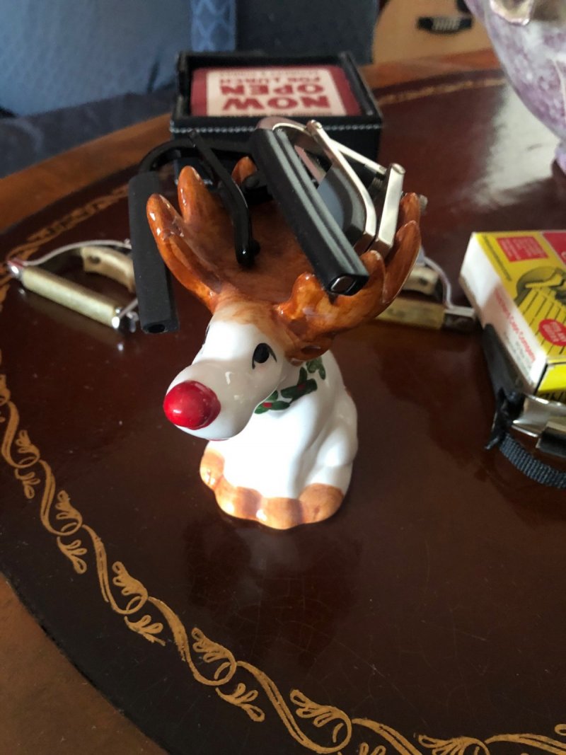 capo reindeer.jpg