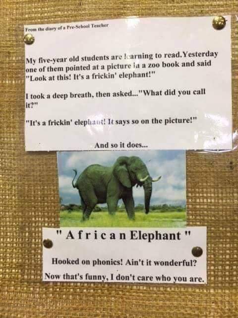 A Frickan Elephant.jpg