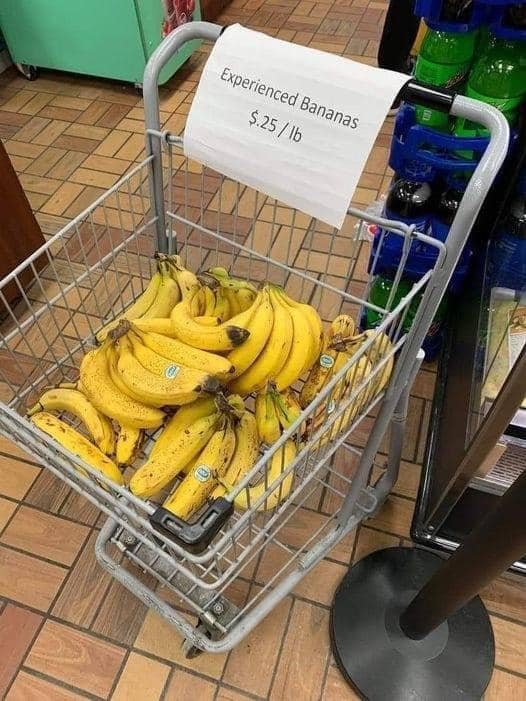 Experienced Bananas.jpg
