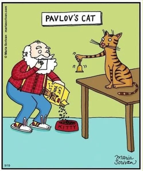 Pavloves Cat.jpg