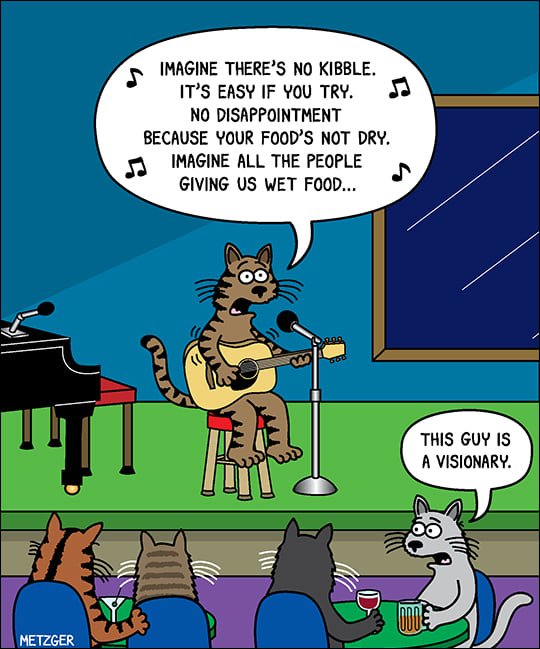 Imagine Cat Cartoon.jpg