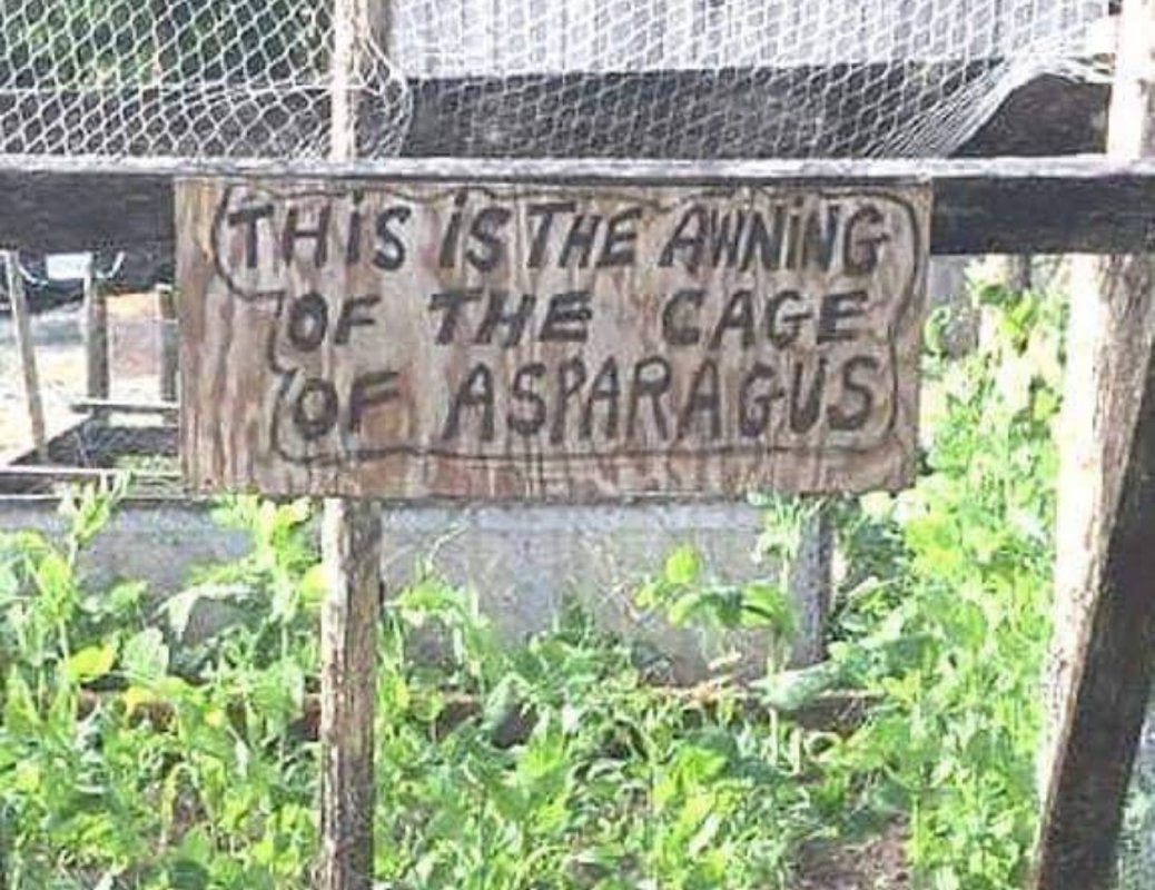 Cage of Asparagus.jpg