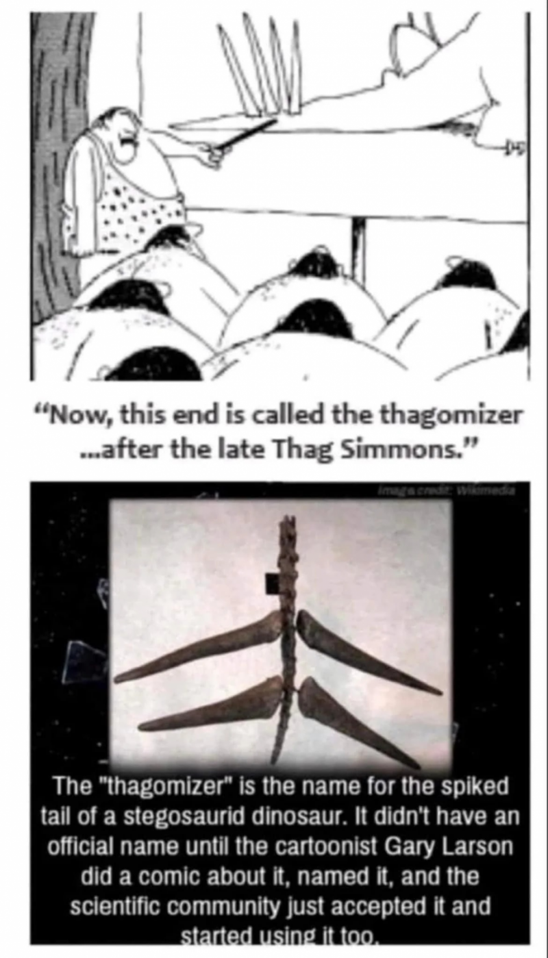 1720556525987.png