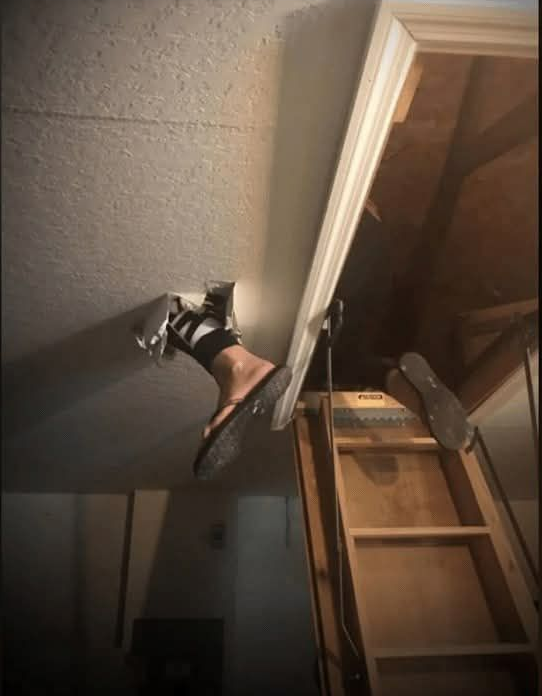 1736300691535.png