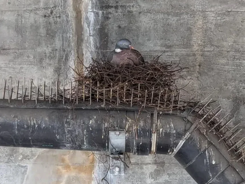 Screenshot 2025-03-08 at 00.19.13.webp