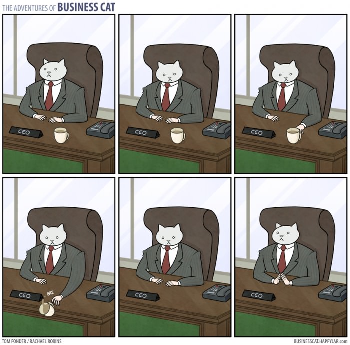 BUSINESS CAT.jpg
