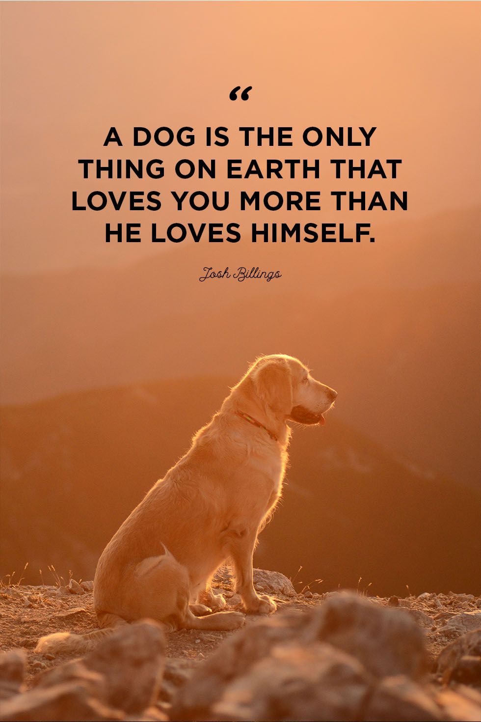 dog-quotes-psdloves-you-1550864955.jpg