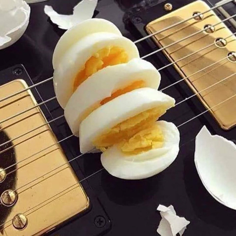 Egg slicer.jpg