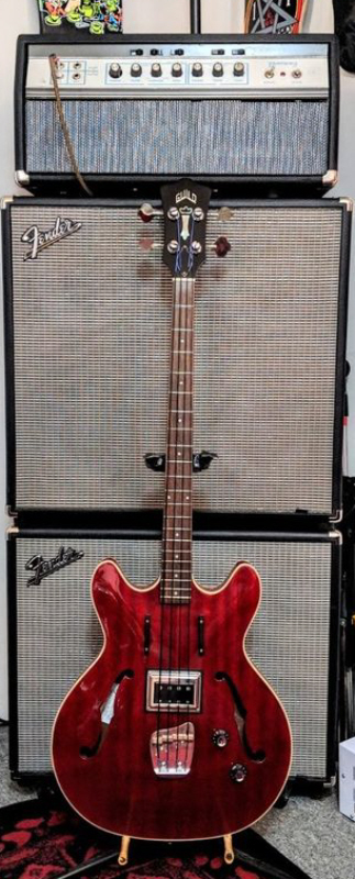 NS SF Bass and Ampeg.jpg