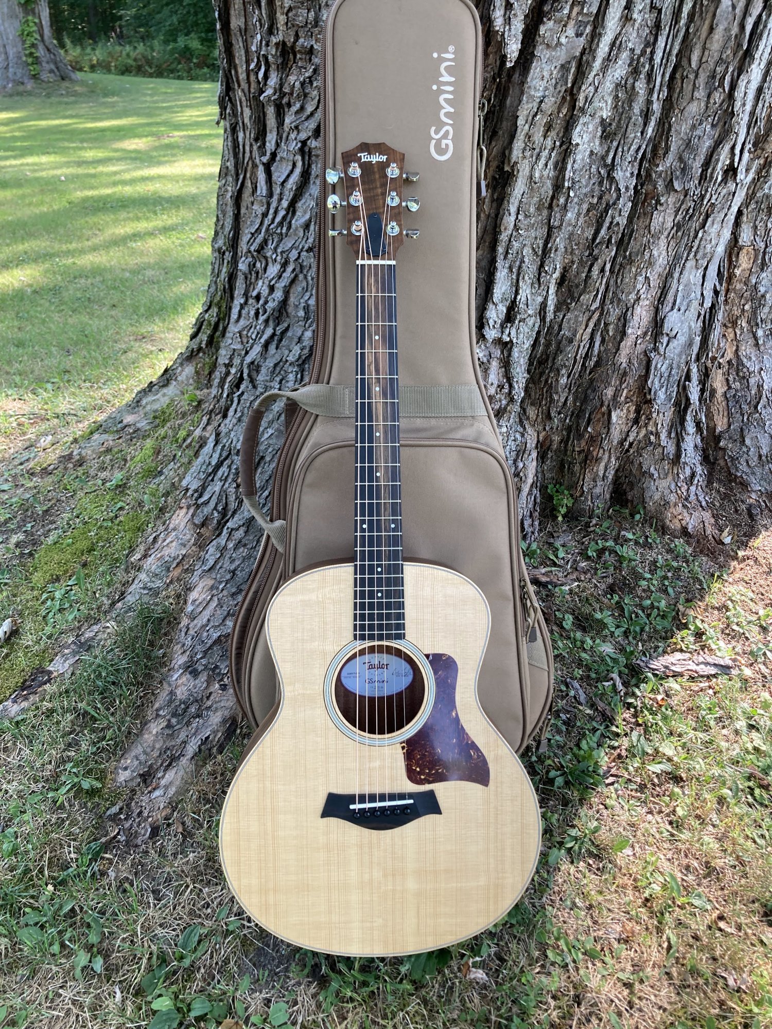 Sold - Taylor GS Mini Rosewood Back and Sides | Let's Talk Guild