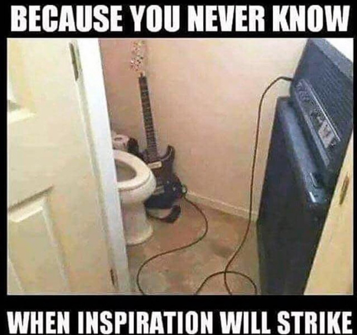 toilet guitar.jpg